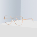 Model 3007 Eyeglasses metal material